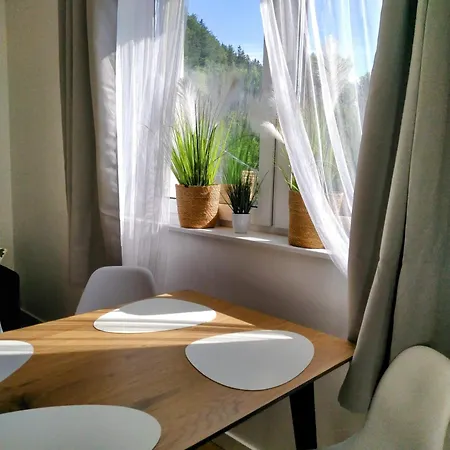 Nowy Klimatyczny Z Balkonem - Sowia Stronie Śląskie